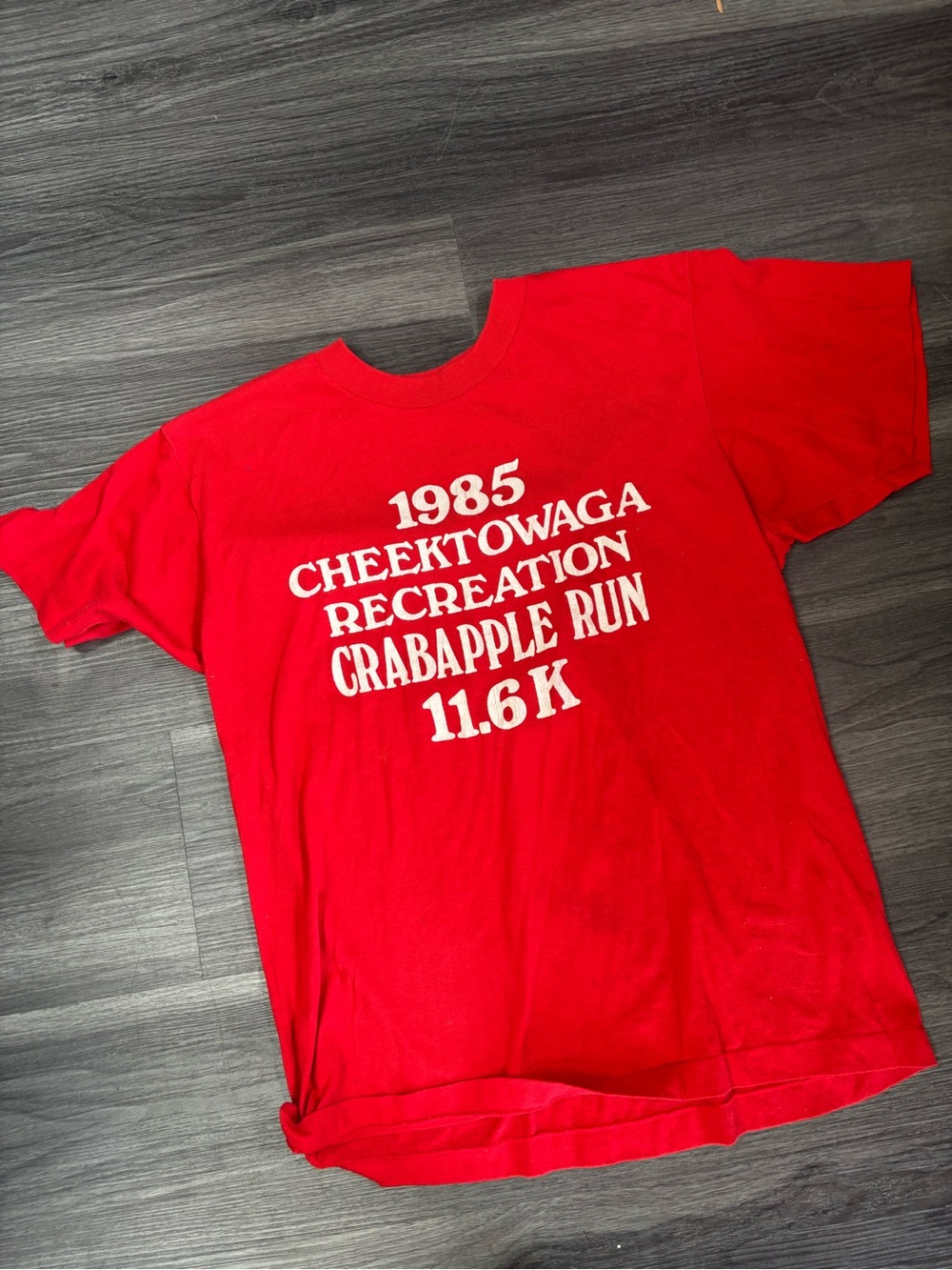 Red vintage 1985 Cheektowaga Recreation Crabapple Run LG Single Stitch t-shirt